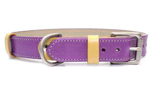 ColourPlay Collar - Purple